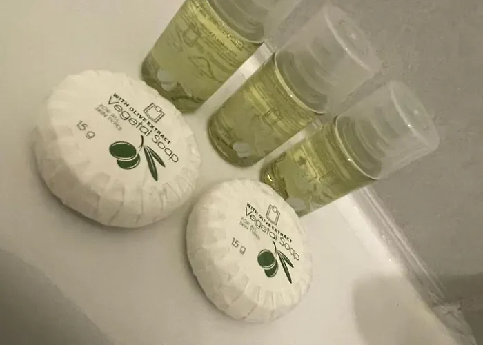 酒店 Hotel- Restaurant Le Quentin